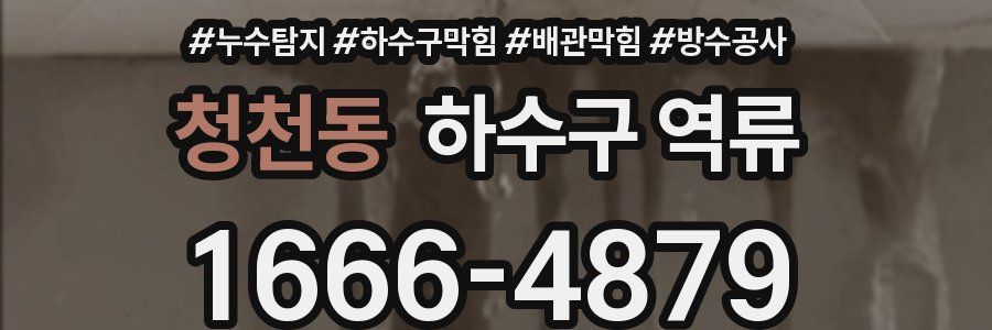 청천동 하수구 역류