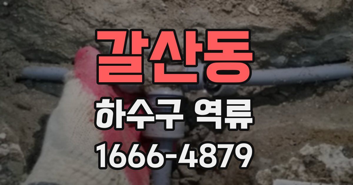 갈산동 하수구 역류