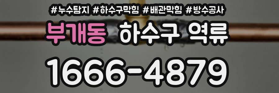 부개동 하수구 역류