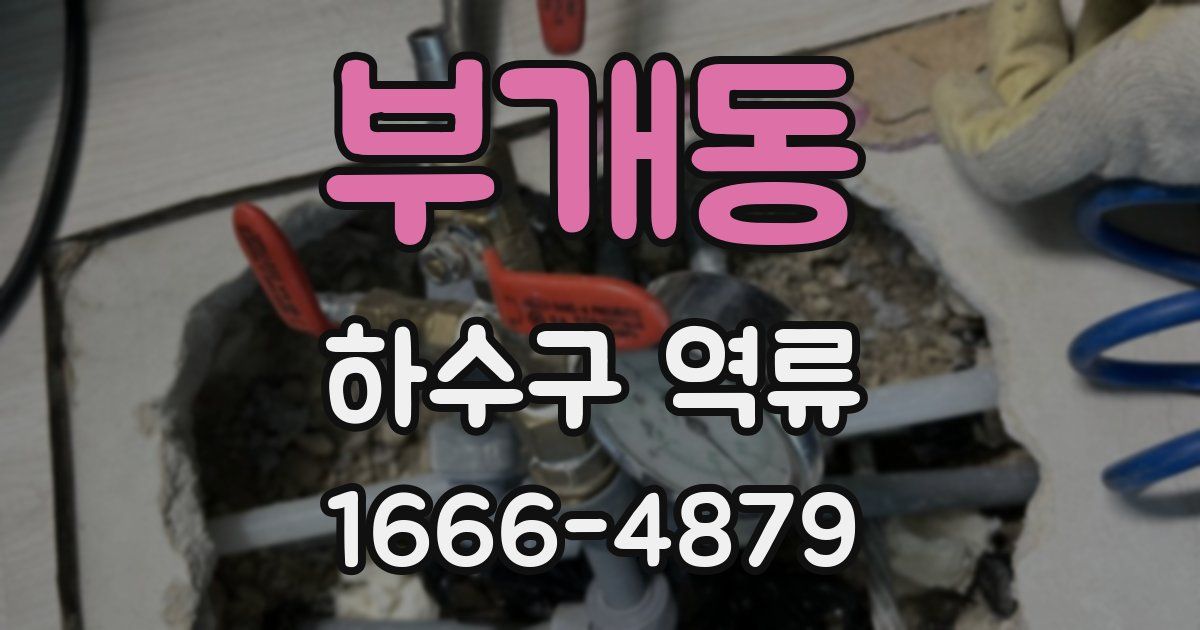 부개동 하수구 역류