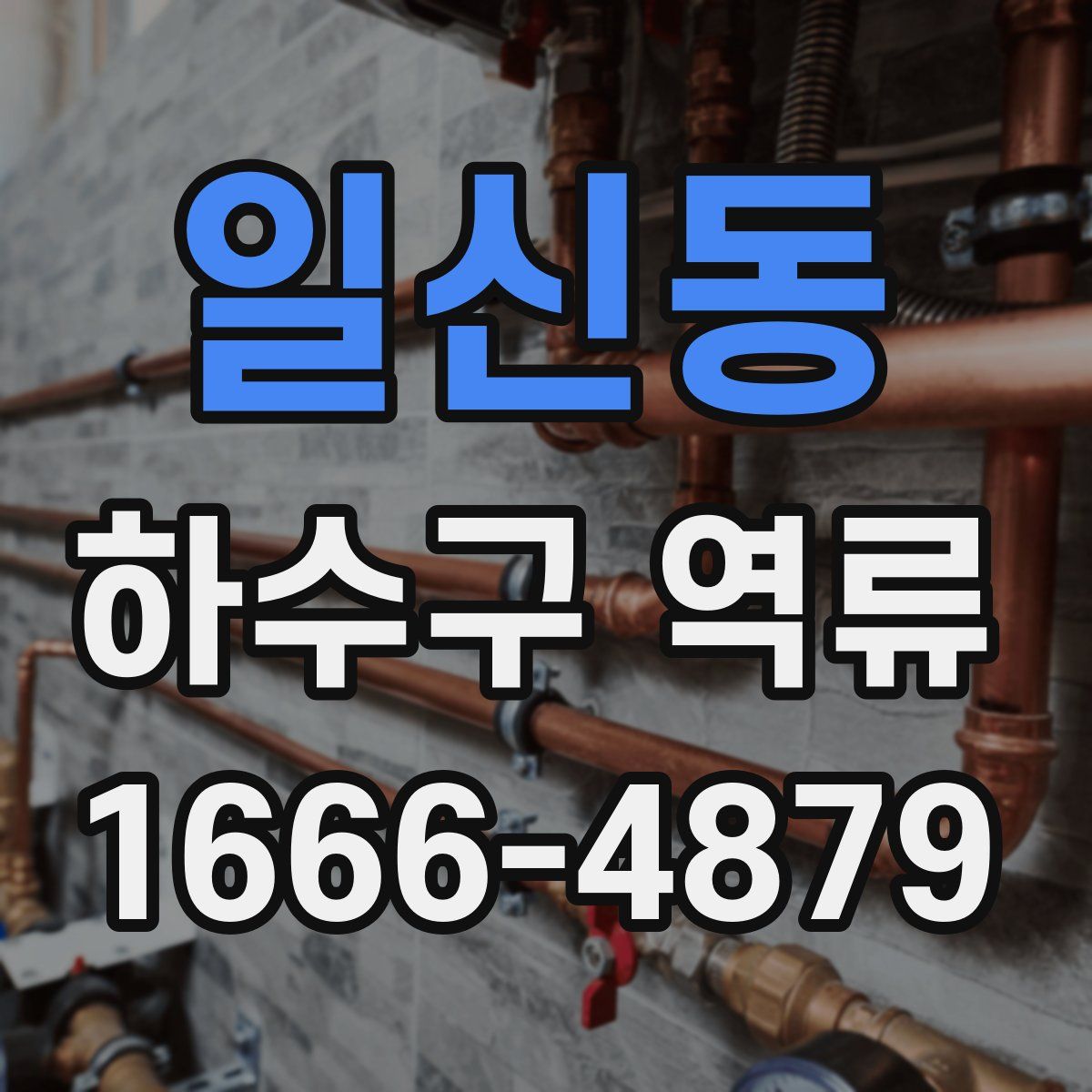 일신동 하수구 역류
