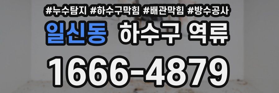 일신동 하수구 역류
