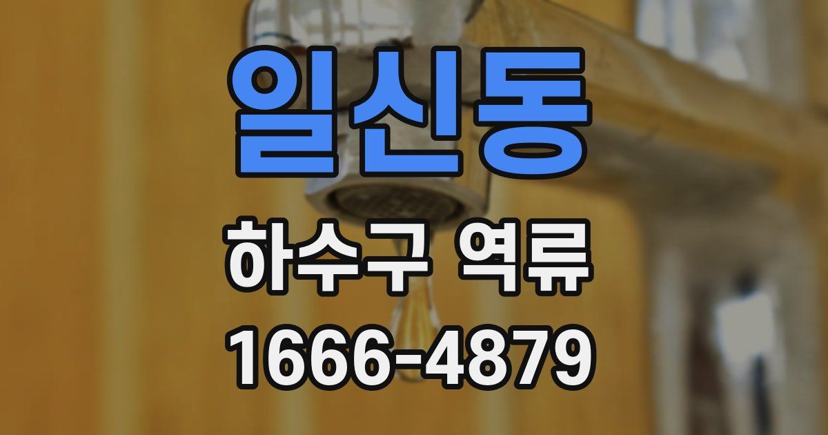 일신동 하수구 역류