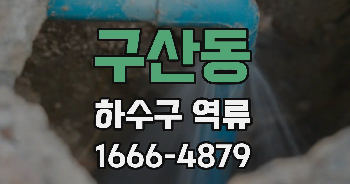 구산동 하수구 역류