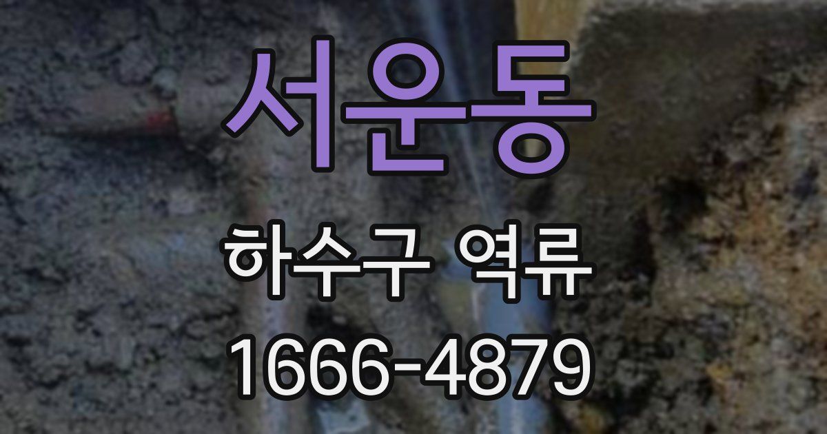 서운동 하수구 역류
