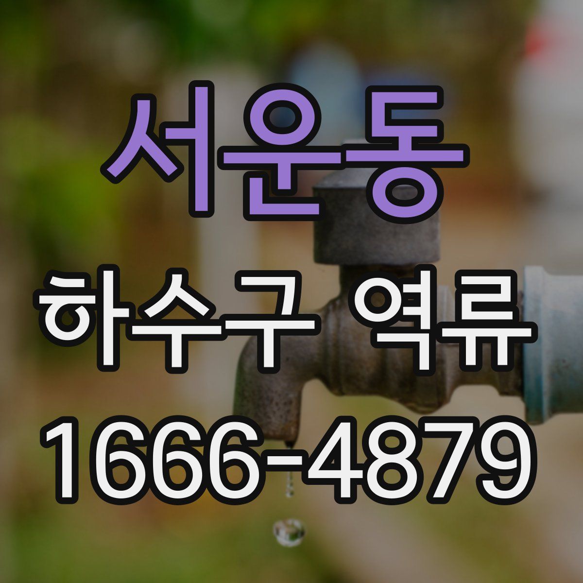 서운동 하수구 역류