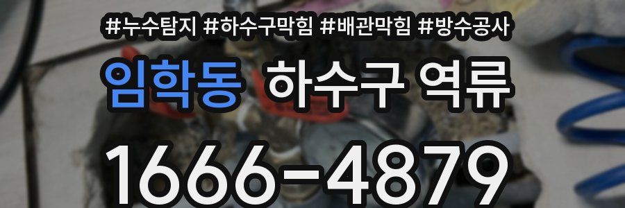 임학동 하수구 역류