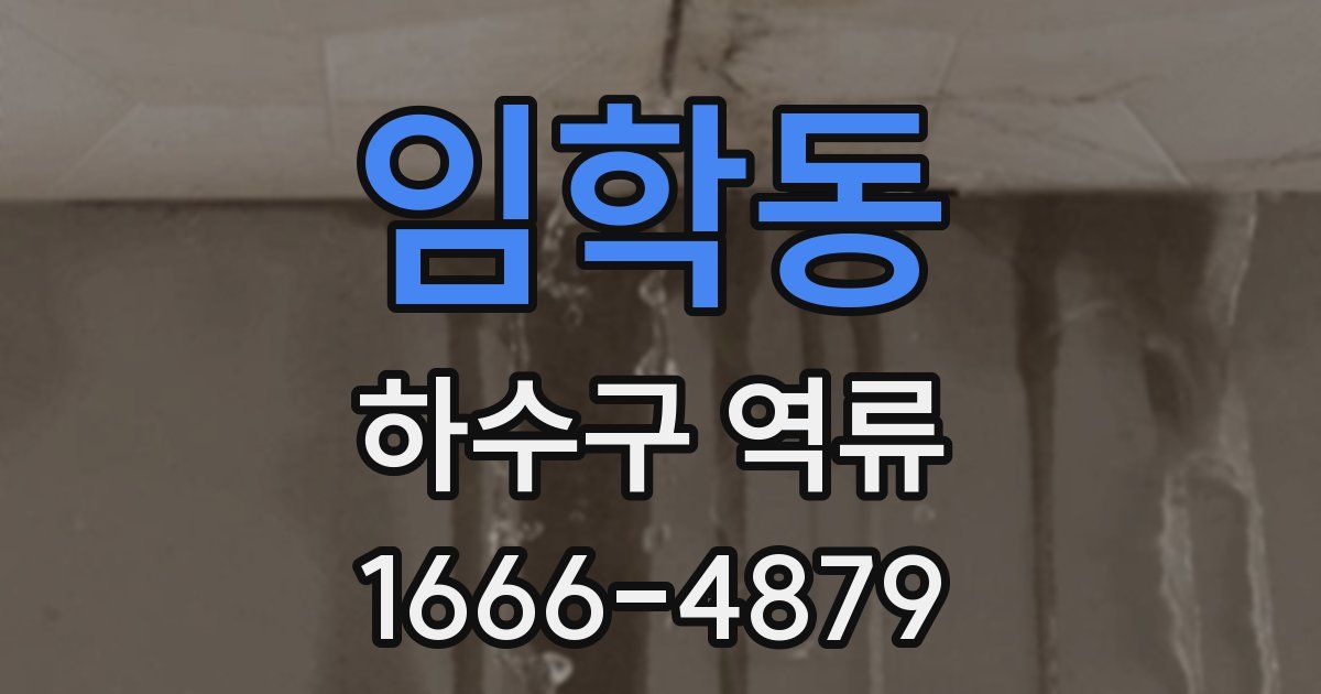 임학동 하수구 역류