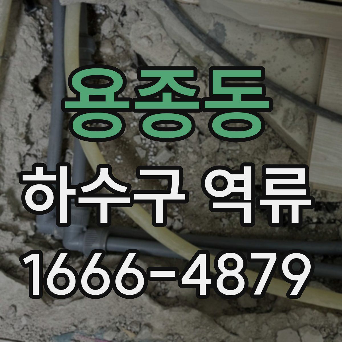 용종동 하수구 역류