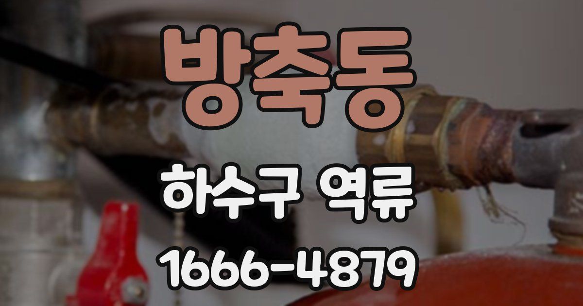 방축동 하수구 역류