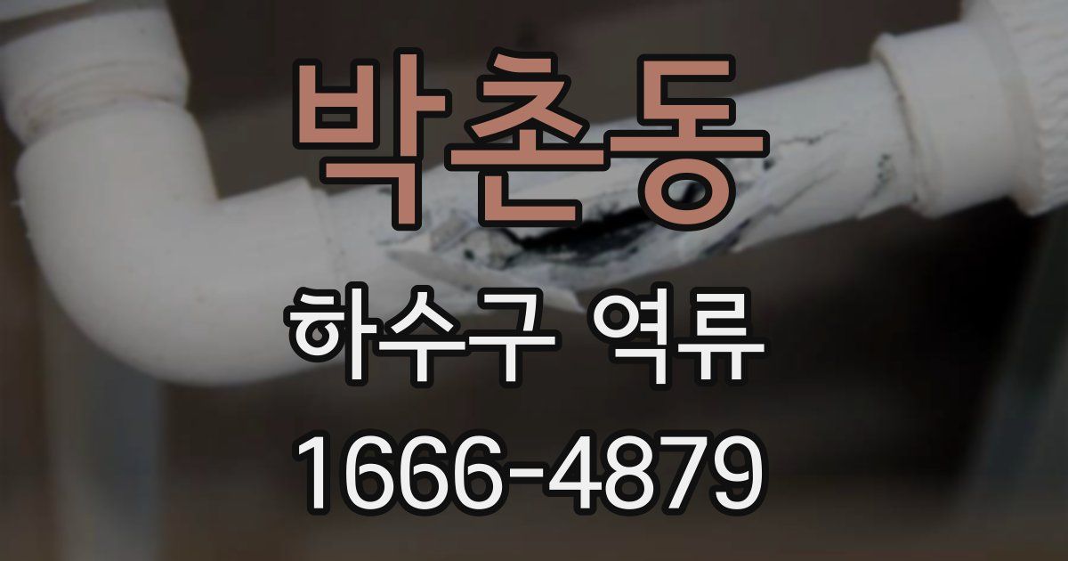 박촌동 하수구 역류
