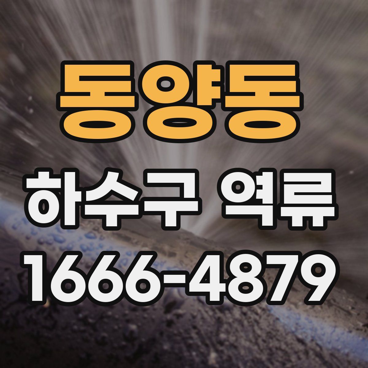 동양동 하수구 역류
