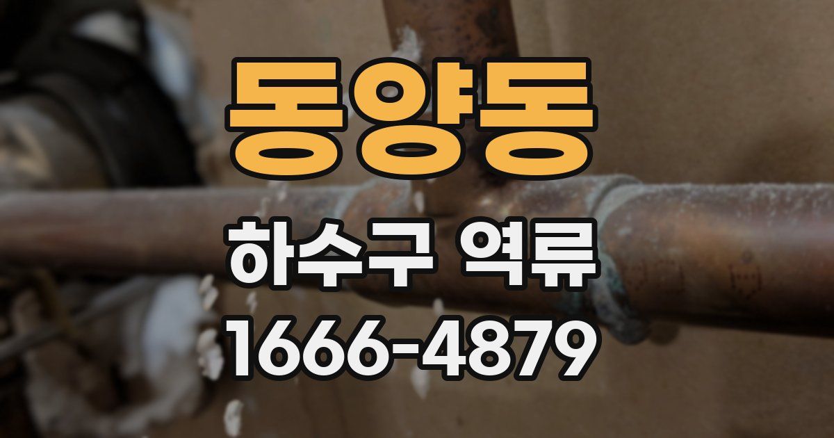동양동 하수구 역류