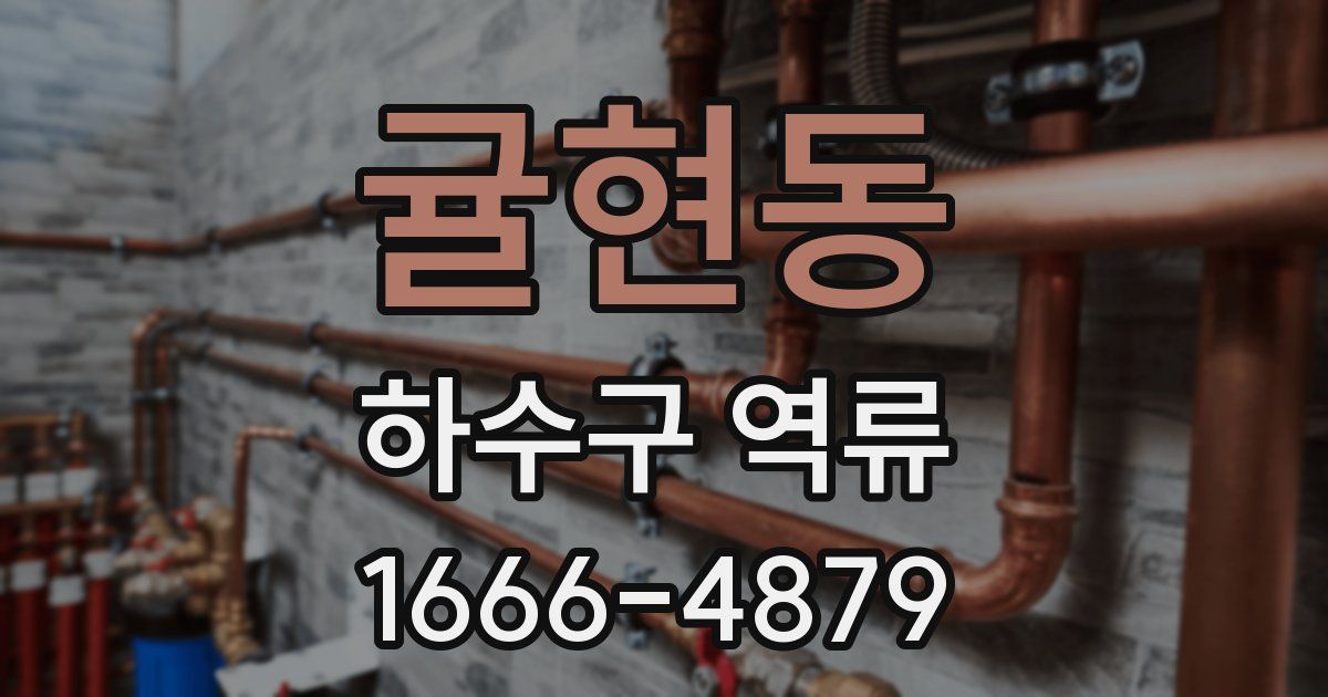 귤현동 하수구 역류