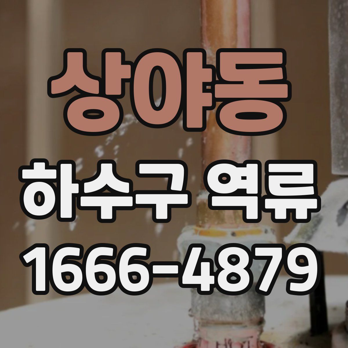 상야동 하수구 역류