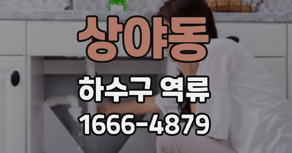 상야동 하수구 역류