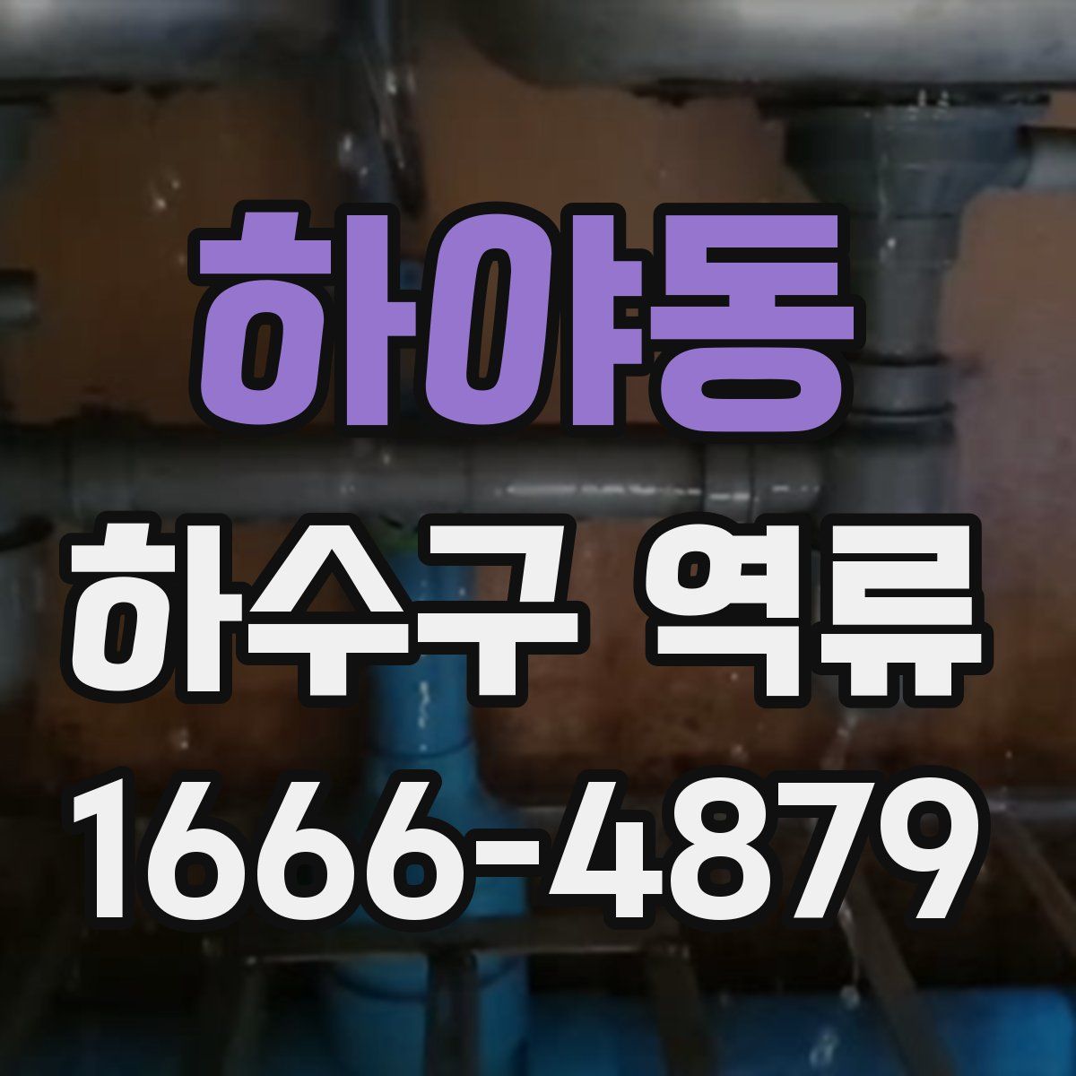 하야동 하수구 역류