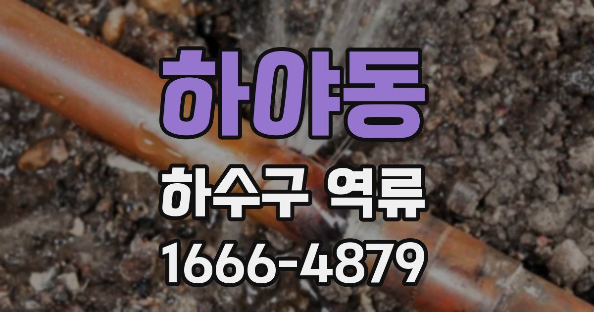 하야동 하수구 역류