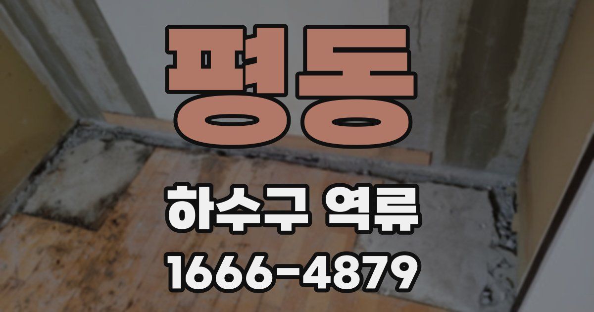 평동 하수구 역류