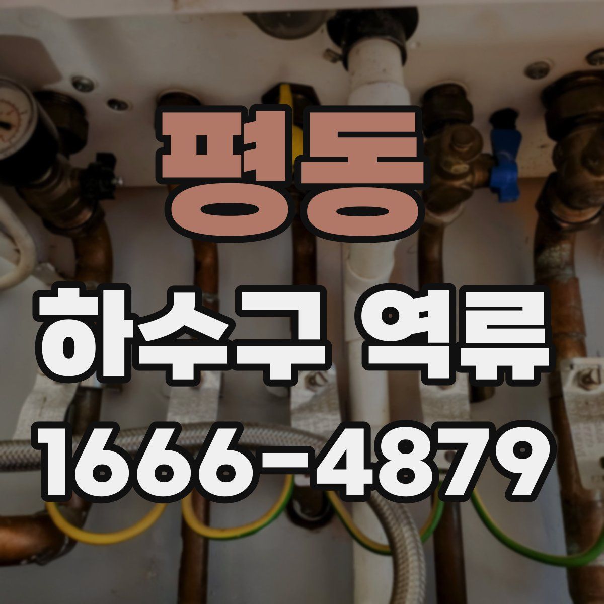 평동 하수구 역류