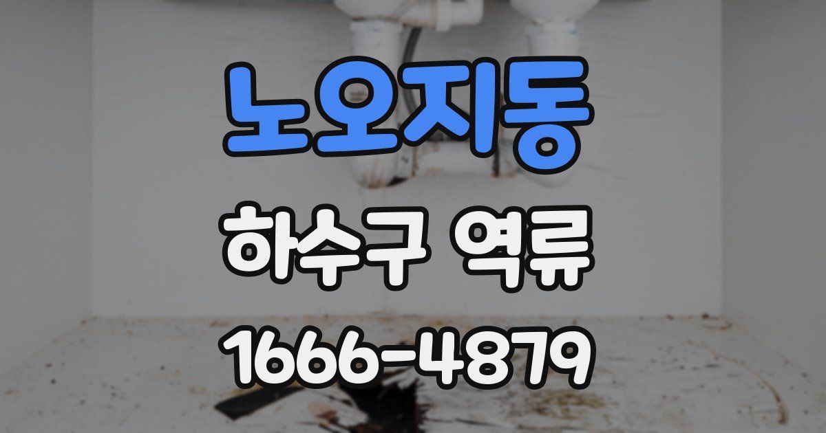 노오지동 하수구 역류
