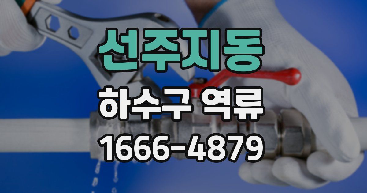 선주지동 하수구 역류