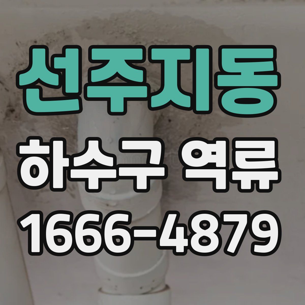선주지동 하수구 역류