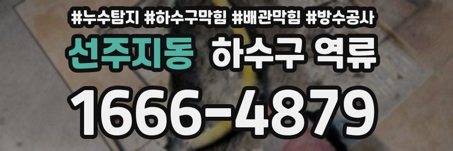 선주지동 하수구 역류