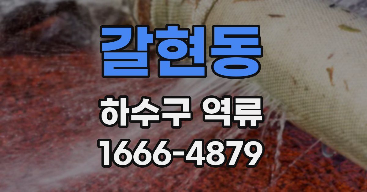갈현동 하수구 역류