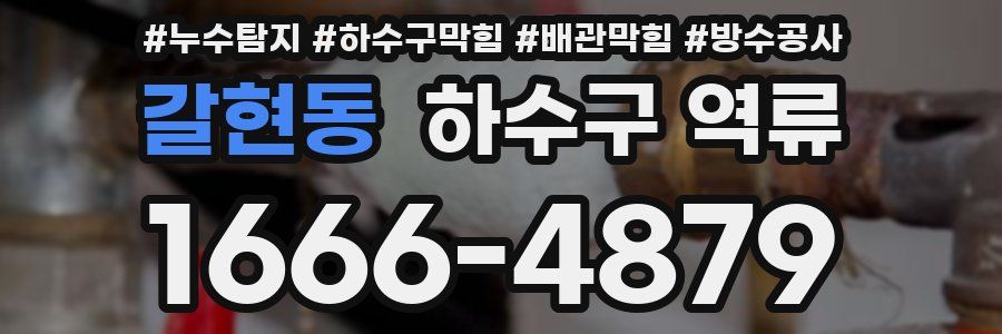 갈현동 하수구 역류