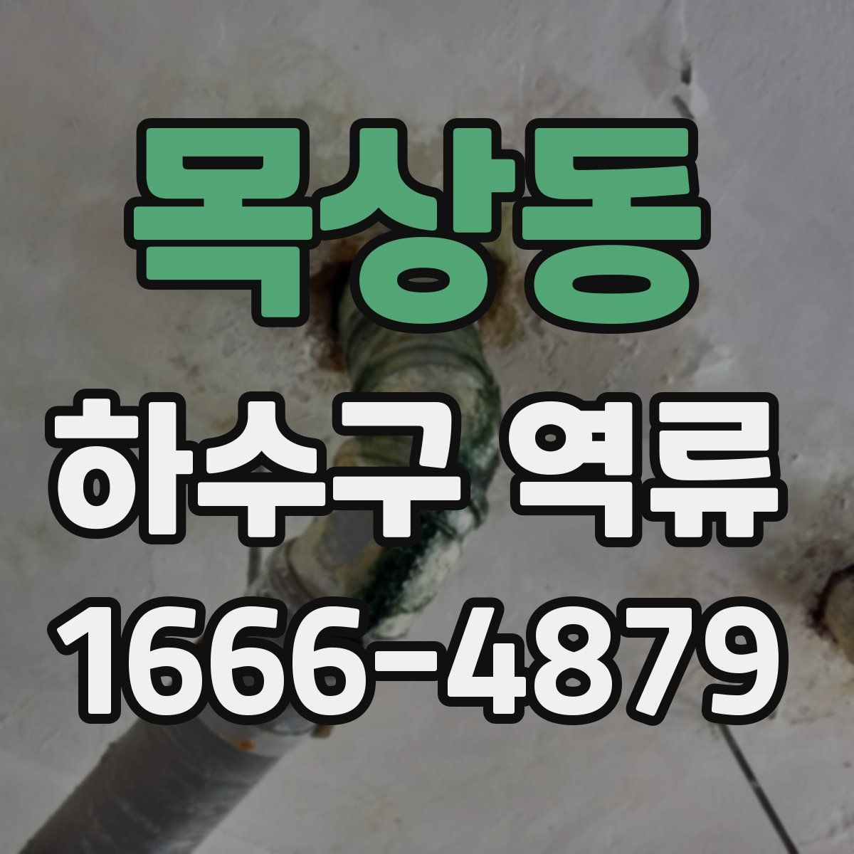 목상동 하수구 역류