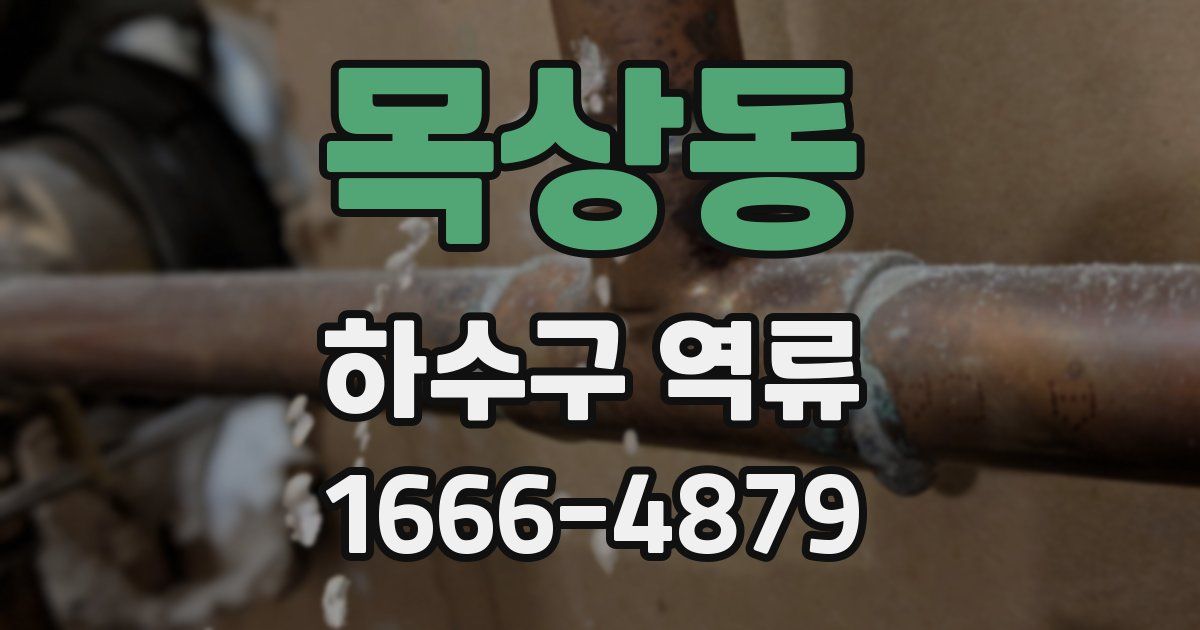 목상동 하수구 역류
