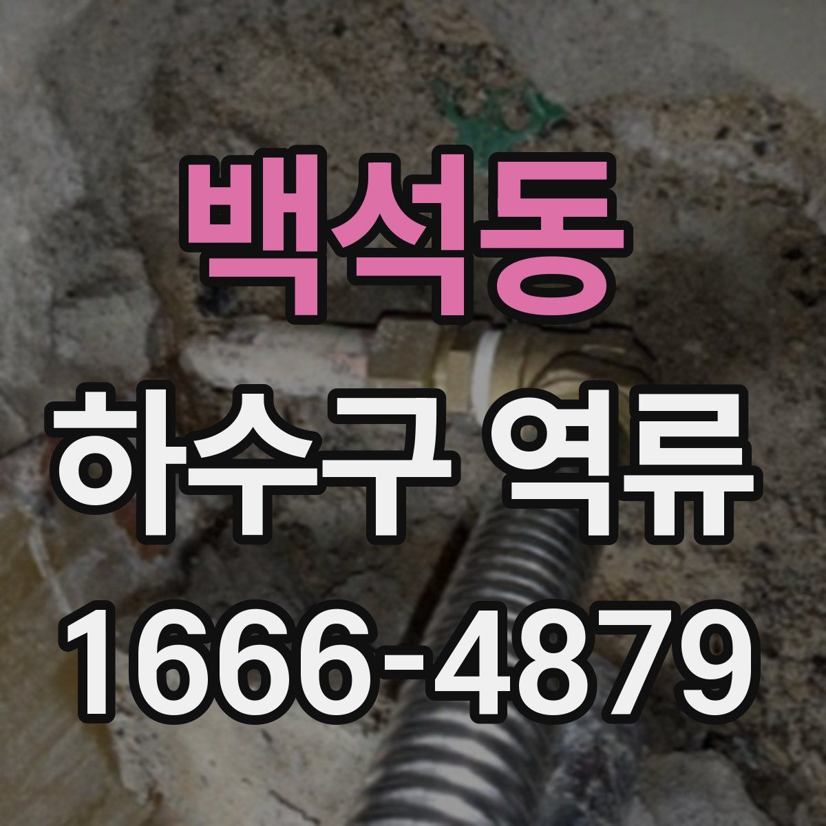 백석동 하수구 역류