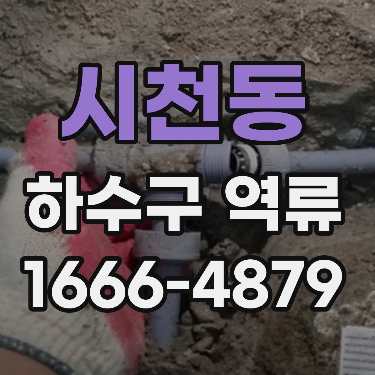 시천동 하수구 역류