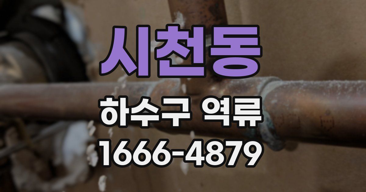 시천동 하수구 역류