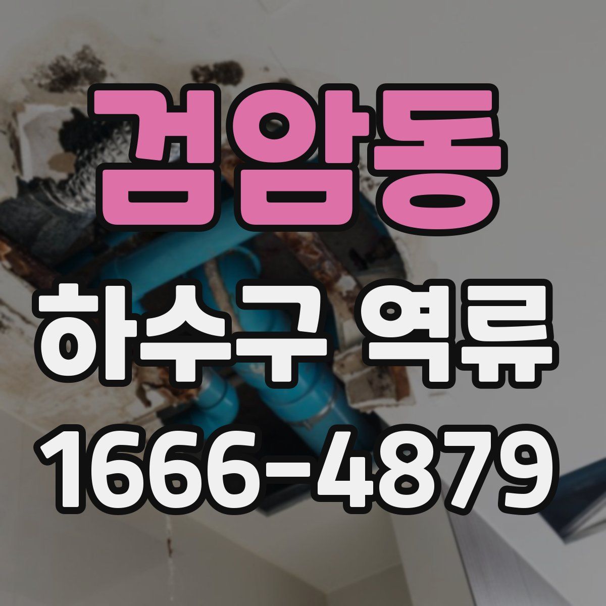 검암동 하수구 역류