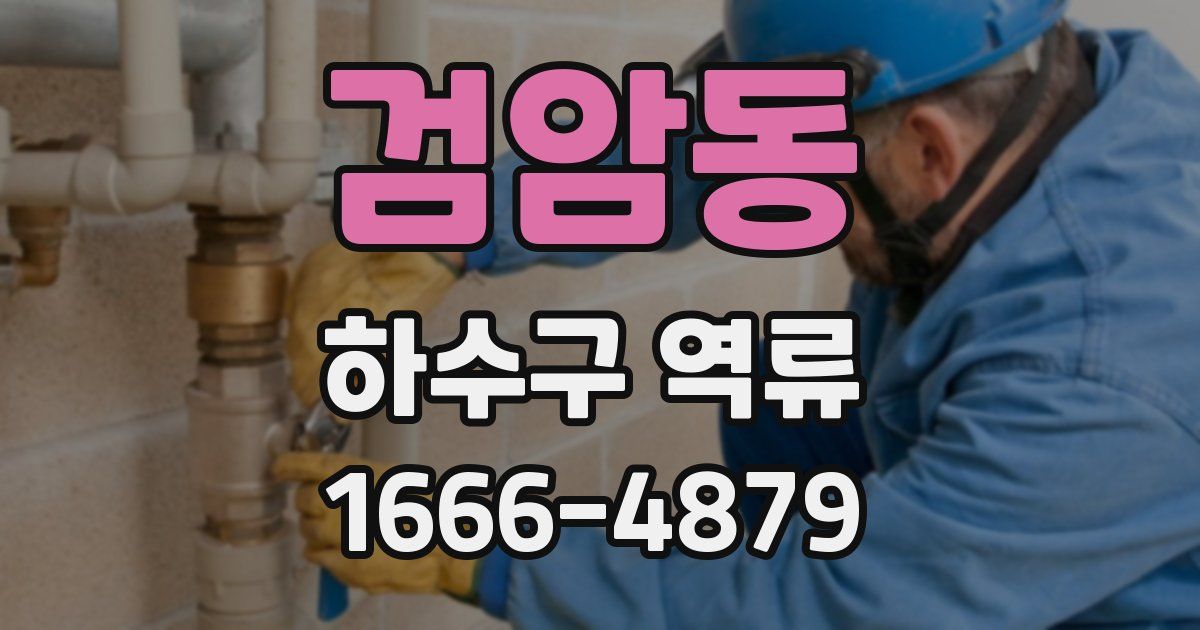 검암동 하수구 역류