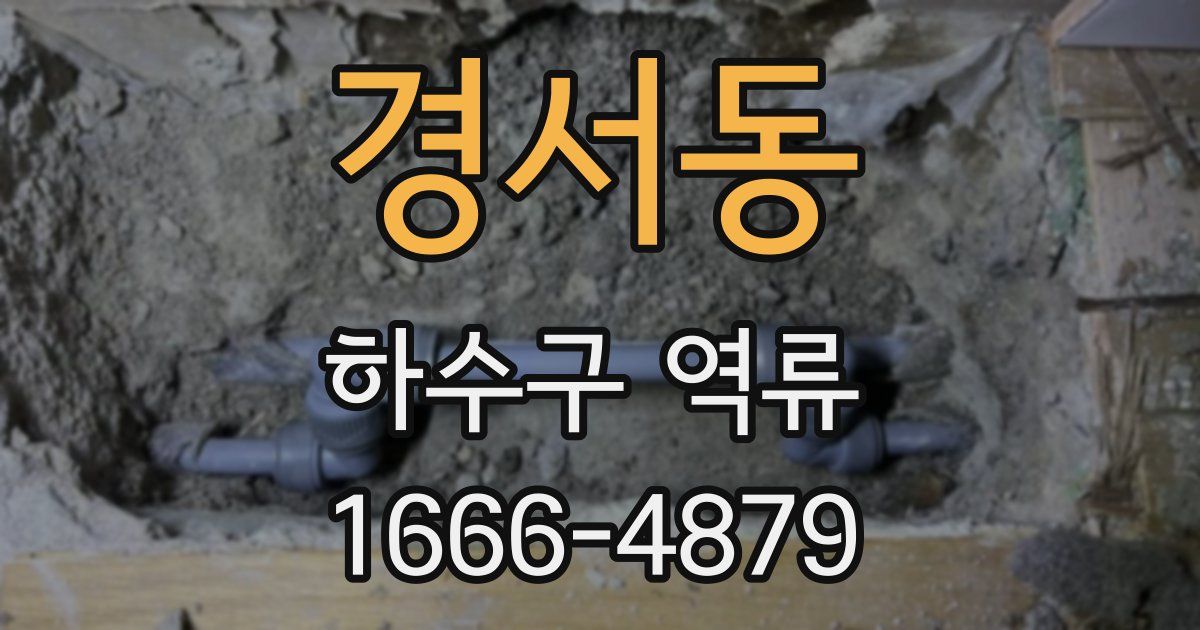 경서동 하수구 역류