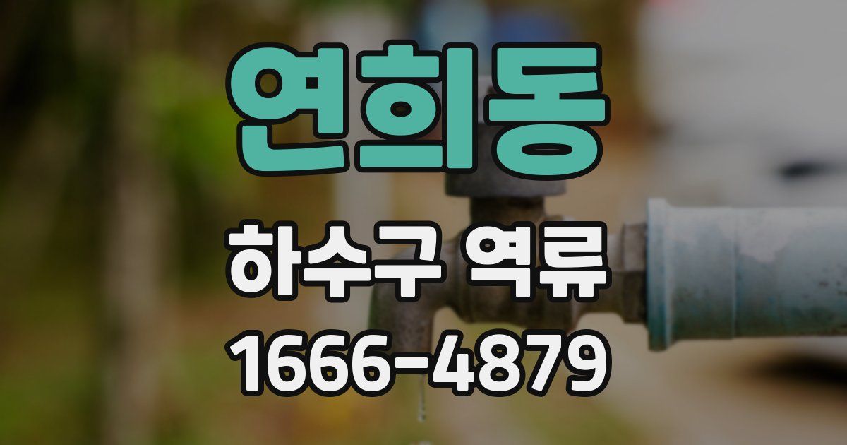 연희동 하수구 역류