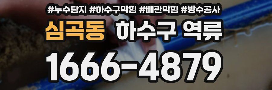심곡동 하수구 역류