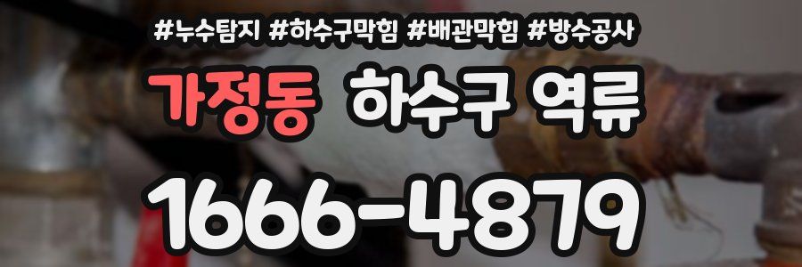 가정동 하수구 역류