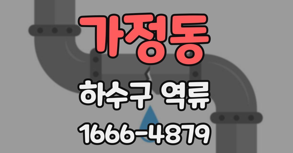 가정동 하수구 역류