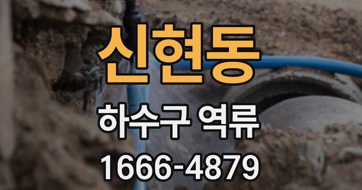 신현동 하수구 역류
