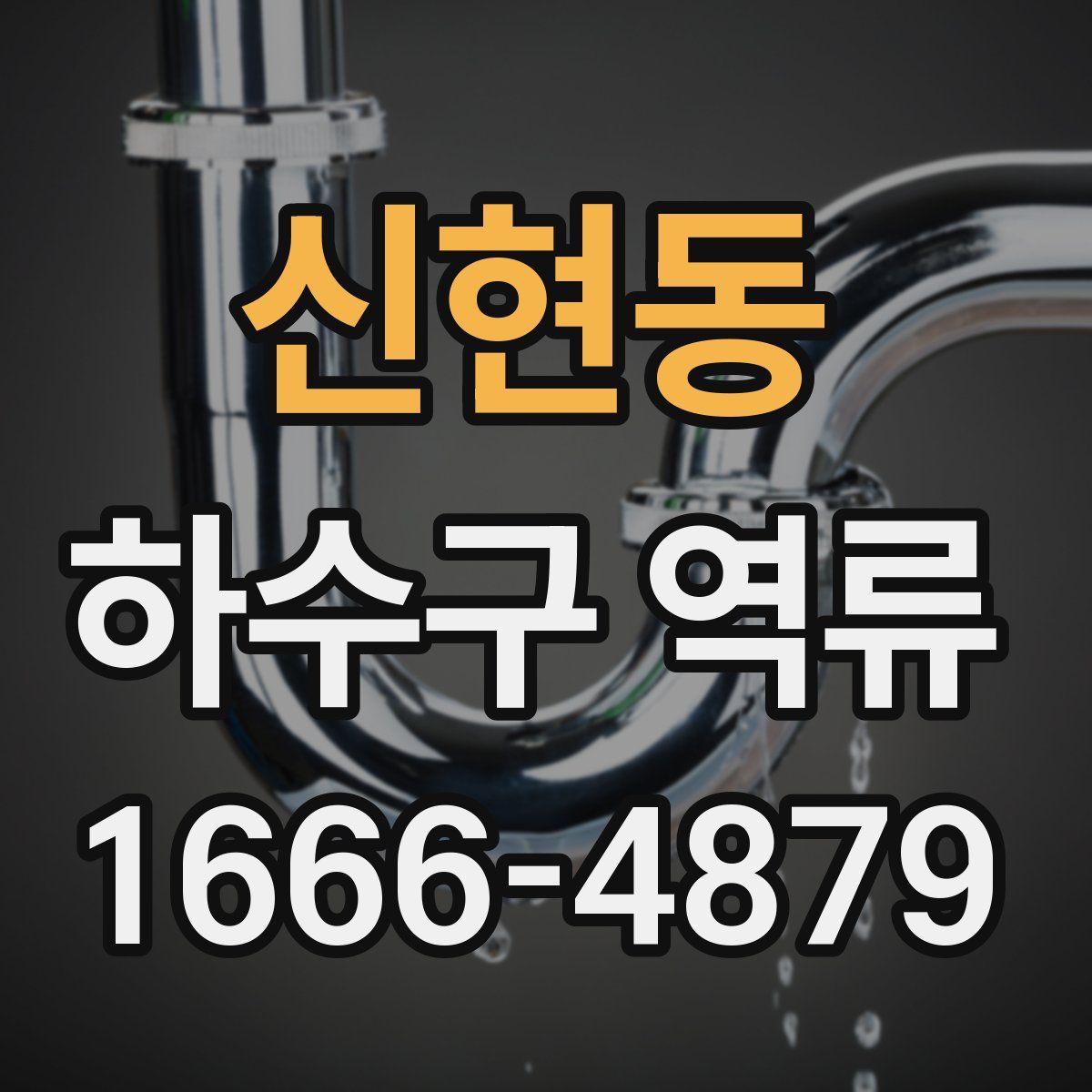 신현동 하수구 역류