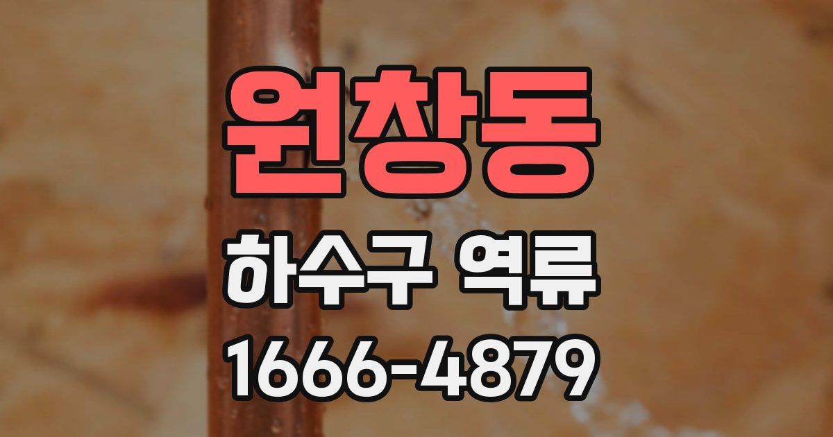 원창동 하수구 역류