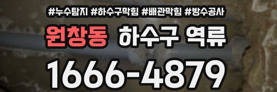원창동 하수구 역류