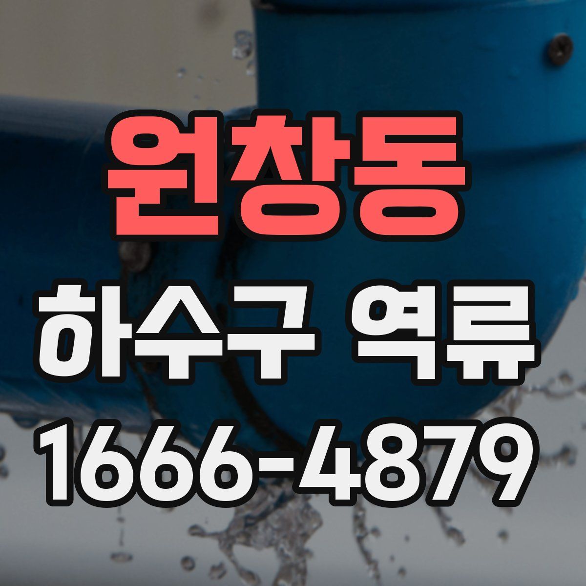 원창동 하수구 역류