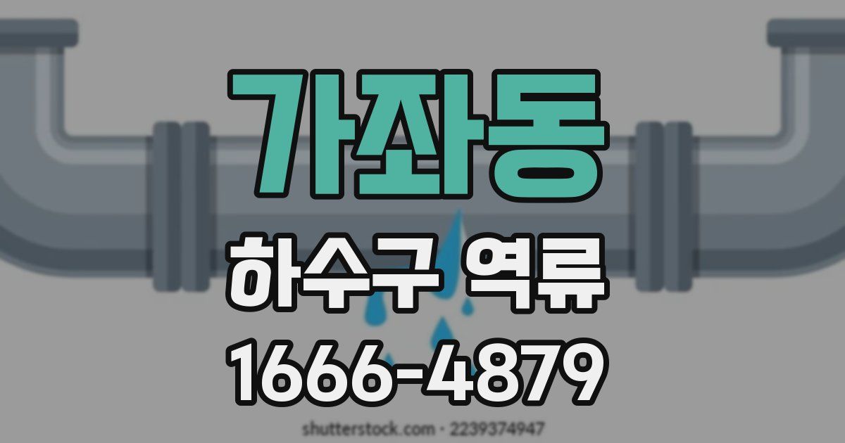 가좌동 하수구 역류