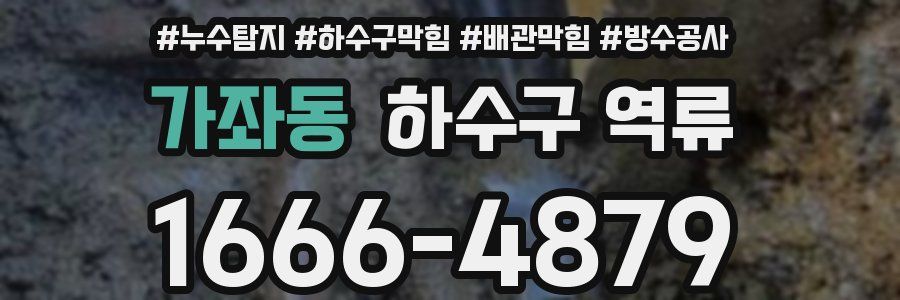 가좌동 하수구 역류
