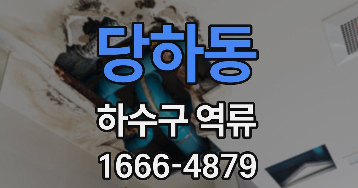 당하동 하수구 역류